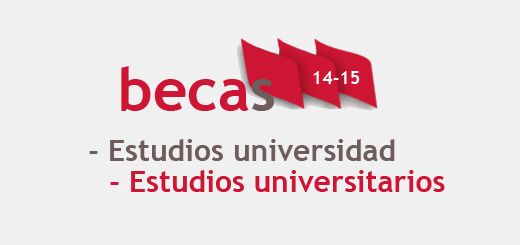 becas14-15_Universidad