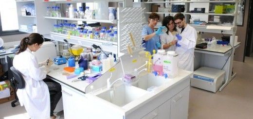 Investigadores del Instituto de Biomedicina y Biotecnología de Cantabria. | J.M. DEL CAMPO