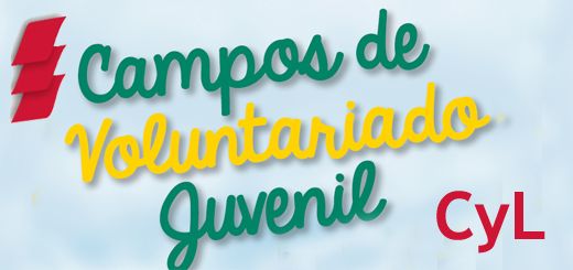 Campos-Voluntariado-Joven-CyL