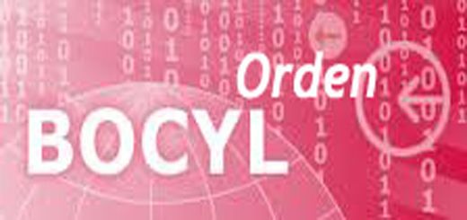 BOCyL-Orden-520x245