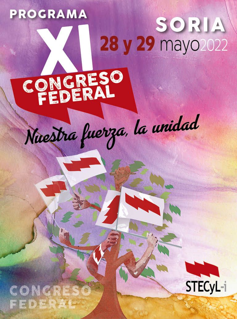 XI_Congreso_Federal_STECyL_Cartel