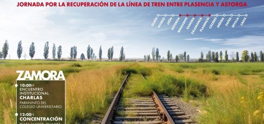 Tren-Futuro-Zamora-25-05-2024