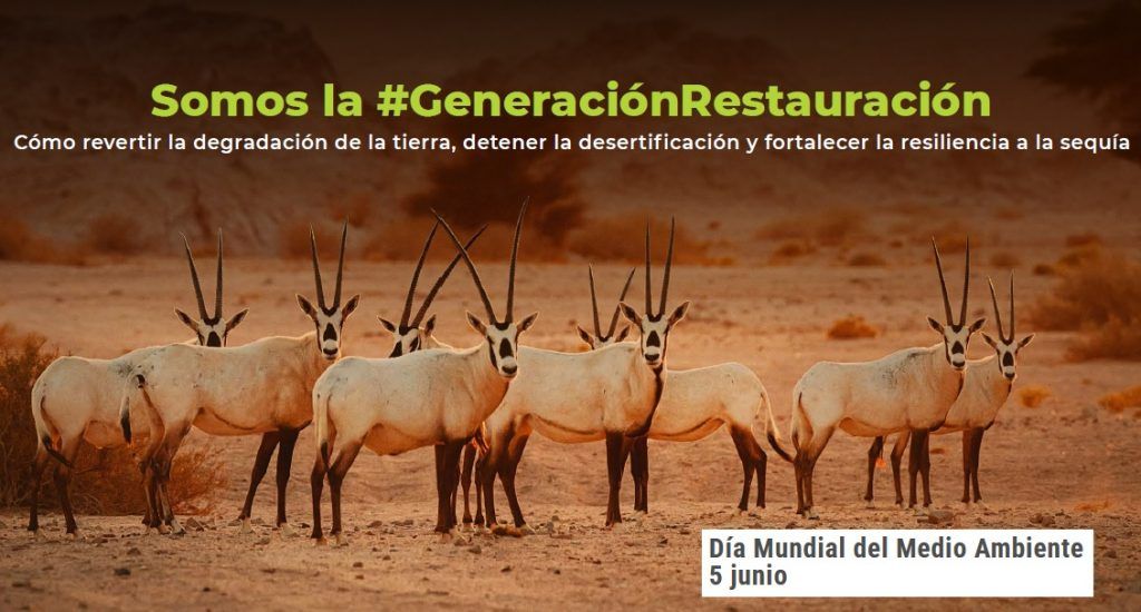 5 de junio de 2024 Día Mundial del Medio Ambiente. "Nuestras tierras ...