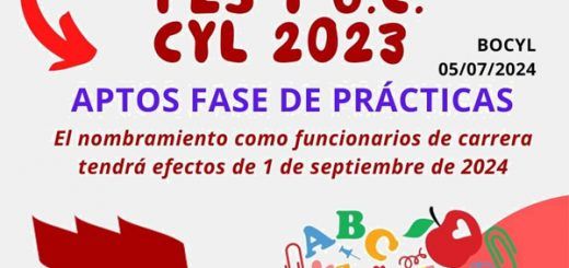 https://stecyl.net/wp-content/uploads/2024/07/Aptos-Funcionarios-Practicas-EEMM-2023.jpg