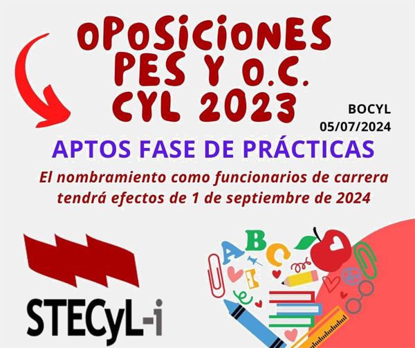 https://stecyl.net/wp-content/uploads/2024/07/Aptos-Funcionarios-Practicas-EEMM-2023.jpg