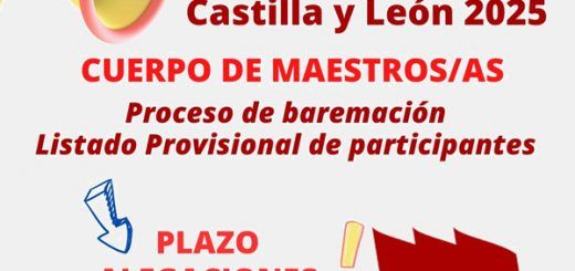 Baremación-2025-Maestros-as-Provisional