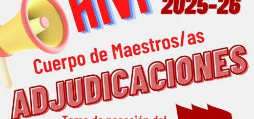AIVI-25-26-Maestros-as-Adjudicacion