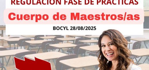 Regulacion-Fase-Practicas