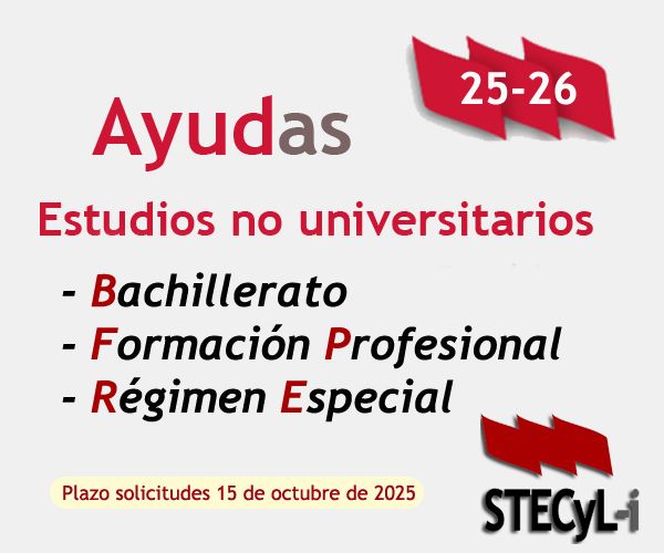 Ayudas-ENU-CyL-25-26