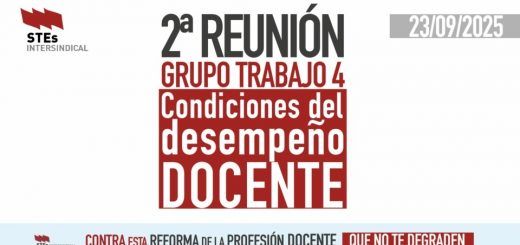 segunda-Reunion-Grupo-Trabajo-4