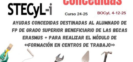 Ayudas Erasmus FP Grado Superior 24-25 CONCESION