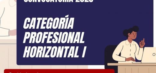 Categoria-Profesional-Horizontal-I-Proceso-Odinario2025