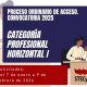 Categoria-Profesional-Horizontal-I-Proceso-Odinario2025