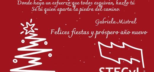 Felicitacion-25-26-STECyL-i