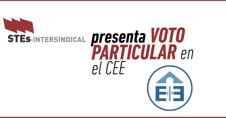 Voto-Particular-STEs
