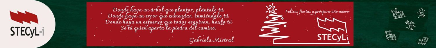 Banner-Navidad-25-26-STECyL