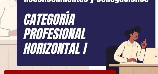 Categoria-Profesional-Horizontal-I-Proceso-Odinario2025-PROVISIONAL