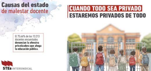 Causas-Malestar-Docente-Privatizacion