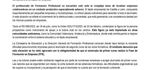 2026_02_19_STECyL exige a la Junta una apuesta decidida por la FP pública