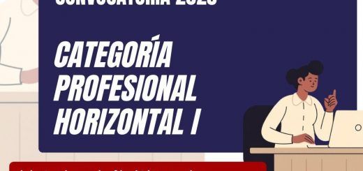 Categoria-Profesional-Horizontal-I-Proceso-Odinario2025-DEFINITIVO