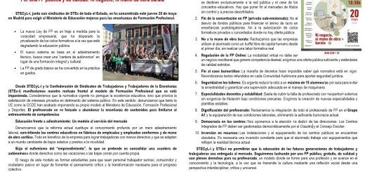 STECyL-i lleva a Madrid la voz del profesorado de FP