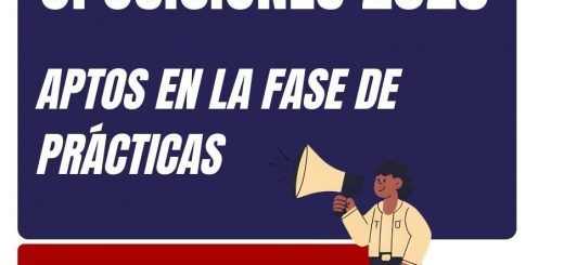 Opos-2025-CyL-PES-OC-Aptos-Practicas