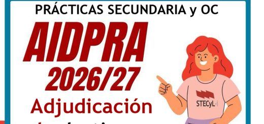 AIDPRA-26-27-PES-OC-Adjudicacion