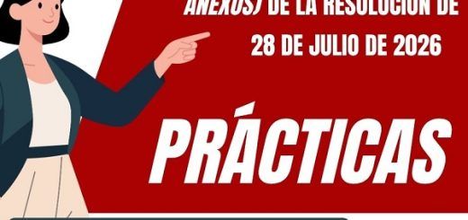 Opos-2026-CyL-Practicas-Corrección-Anexos